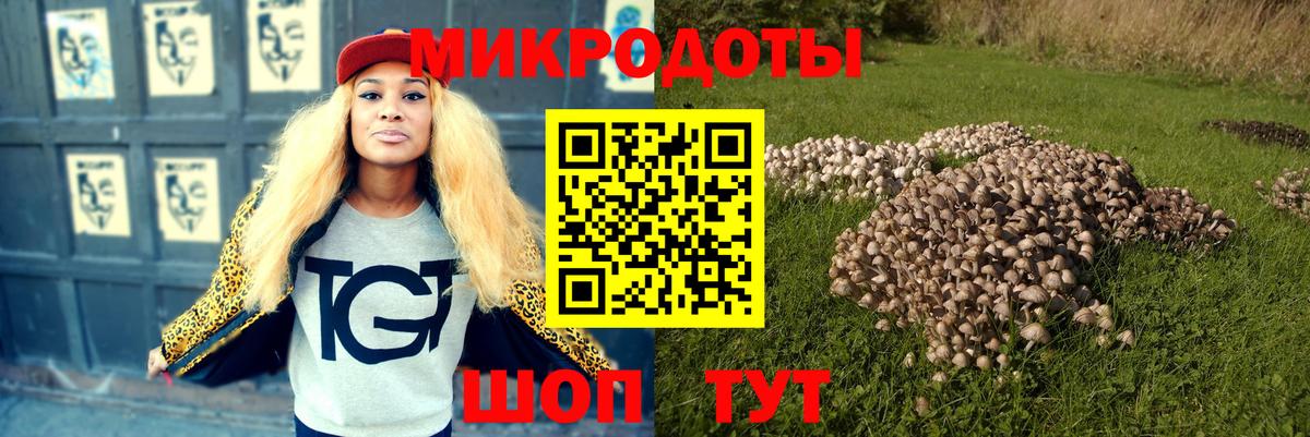 Ростов Великий  Псилоцибиновые грибы мицелий  Вход с VPN 